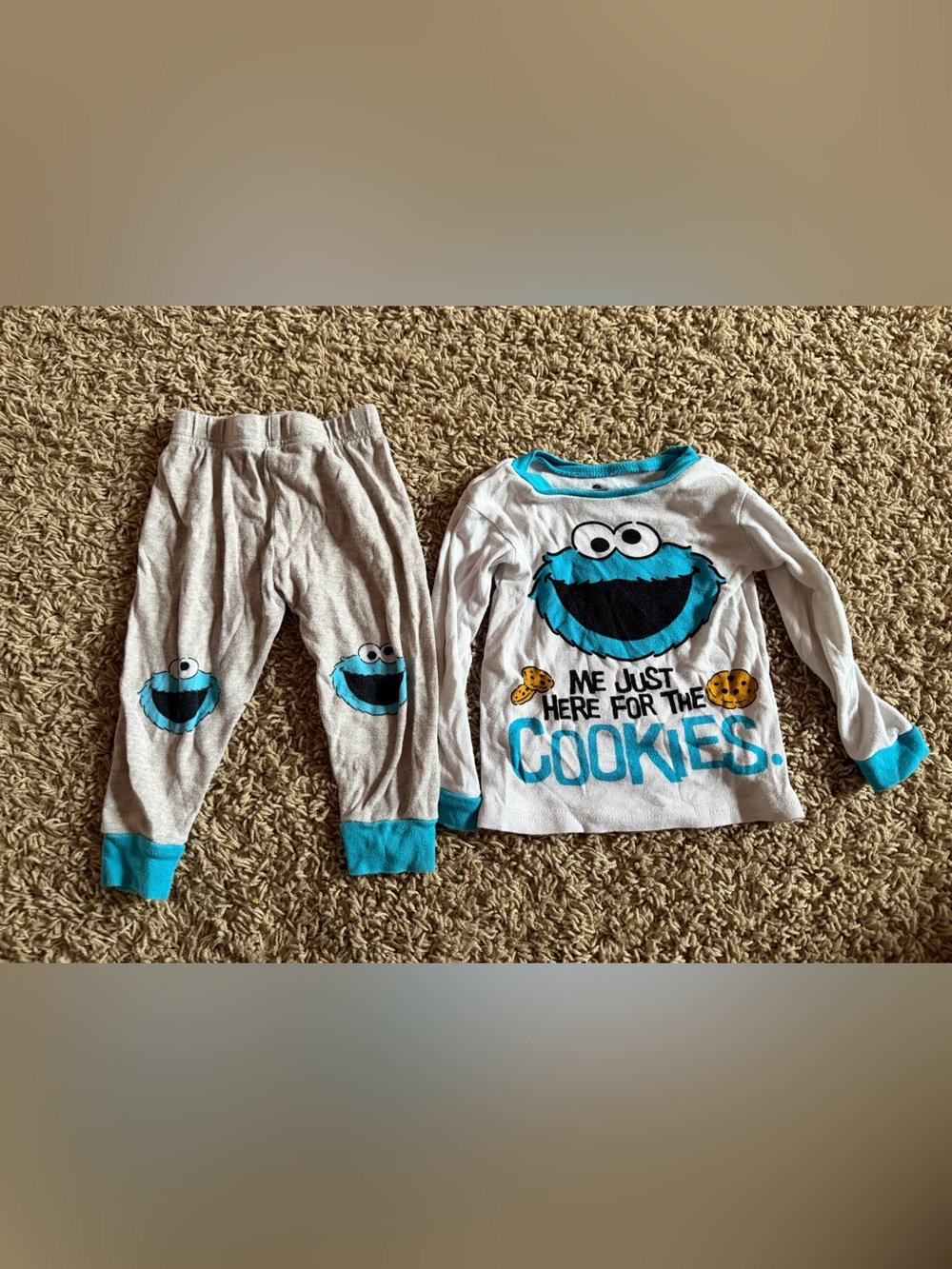 Sesame Street Cookie Monster Pajama Set Size 2T